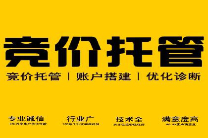 案例分析：托管竞价SEM助力品牌增长